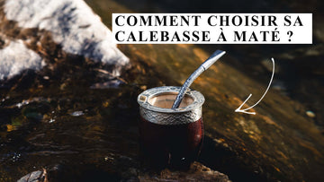 choisir calebasse mate