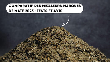 comparatif test meilleur matés