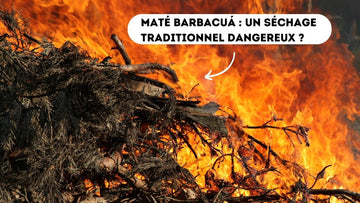 mate fume dangereux