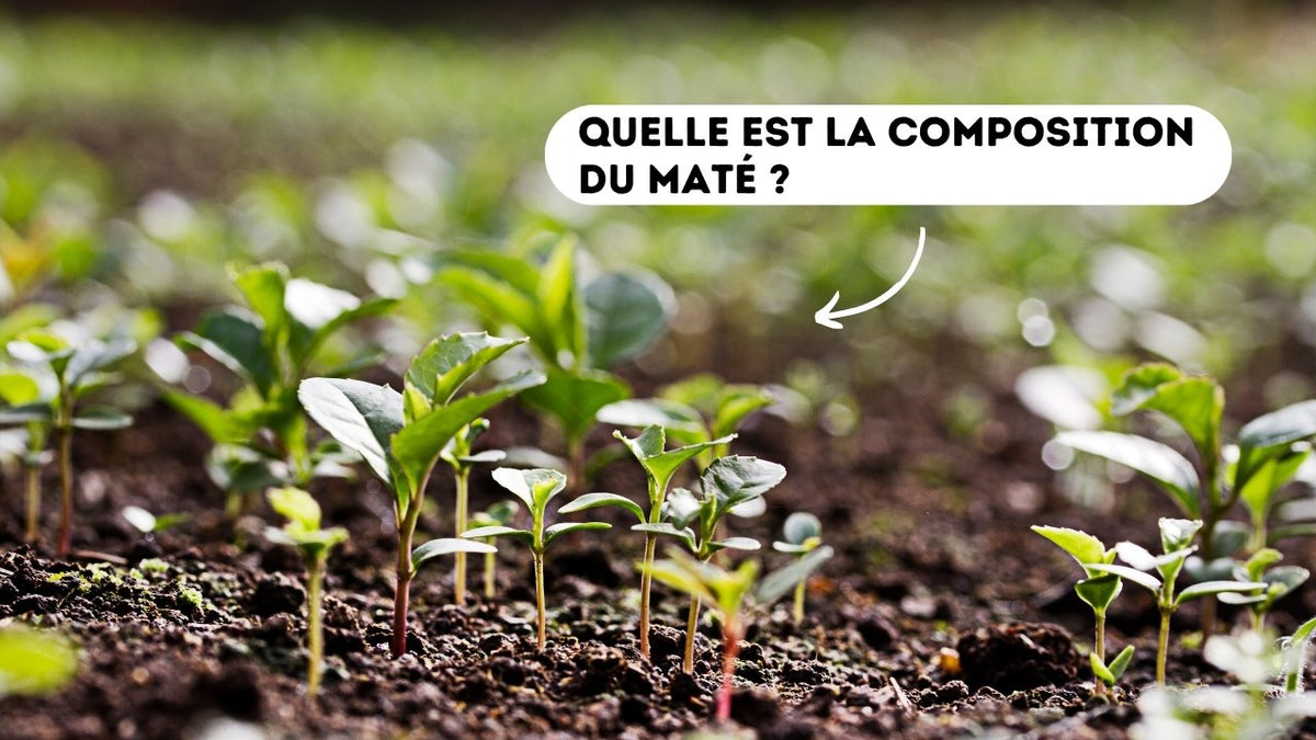 composition maté