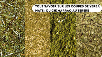Différentes coupes de maté Chimarrao Uruguay Tereré Argentin