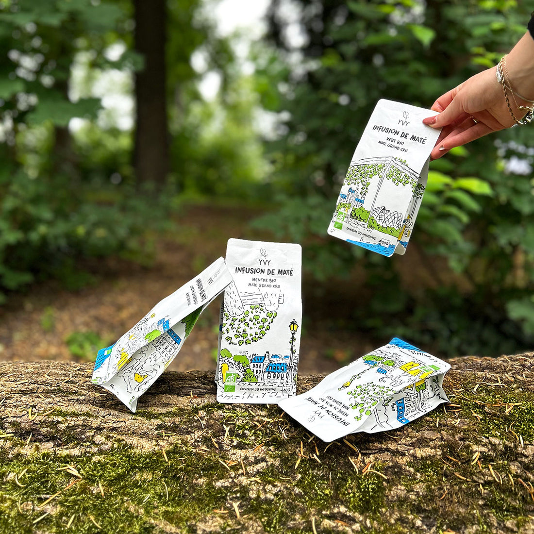 thé maté infusion fruitée tropical bio