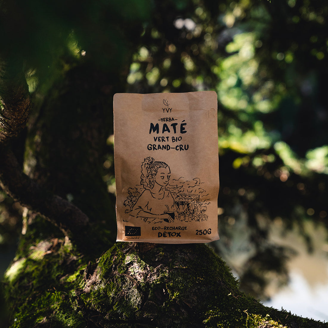 maté vert bio grand cru 250g