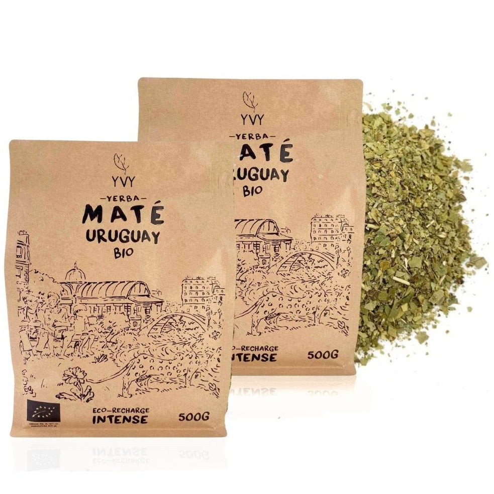 yerba maté uruguay coupe fine et poudreuse type canarias bio yvy maté