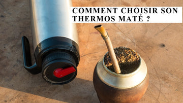Die richtige Thermoskanne für Mate Tee auswählen: Kaufberatung kompakt