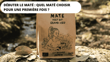 quel maté choisir pour une première fois 