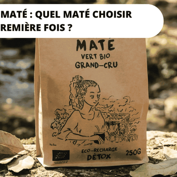 quel maté choisir pour une première fois 
