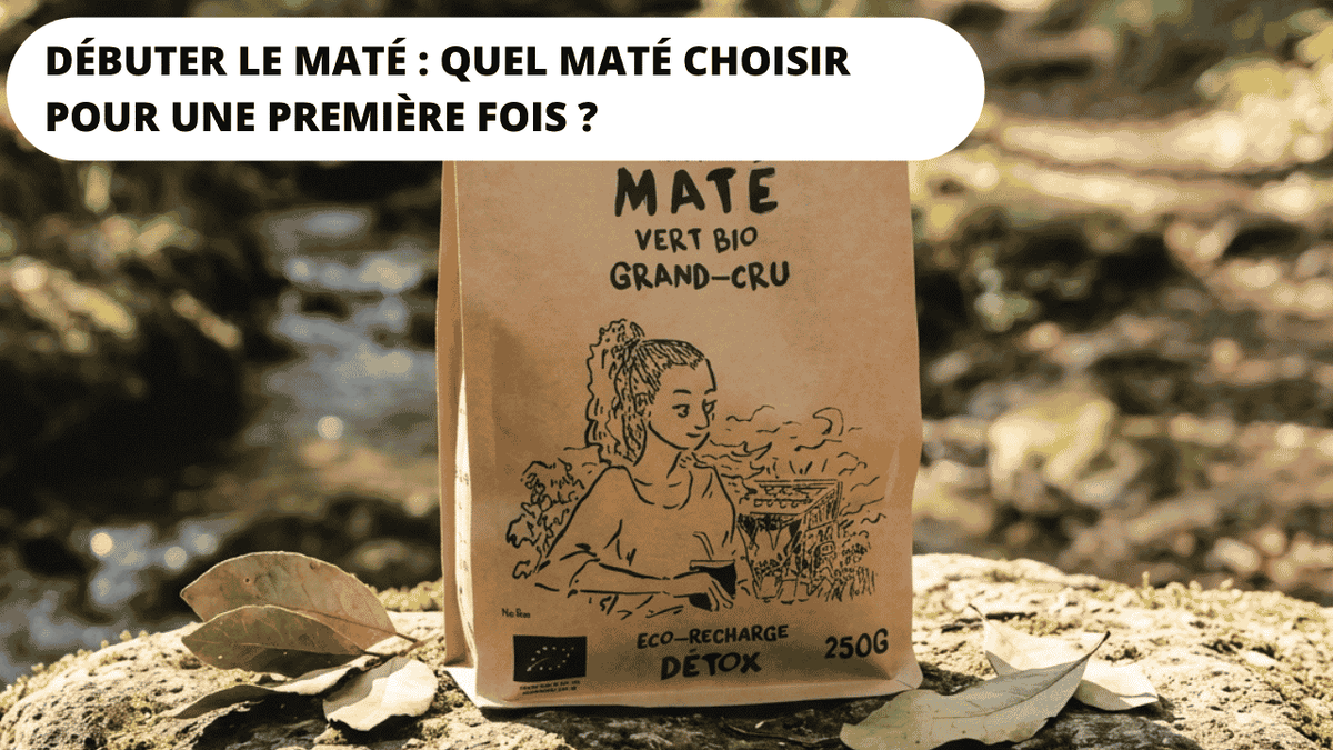 quel maté choisir pour une première fois 