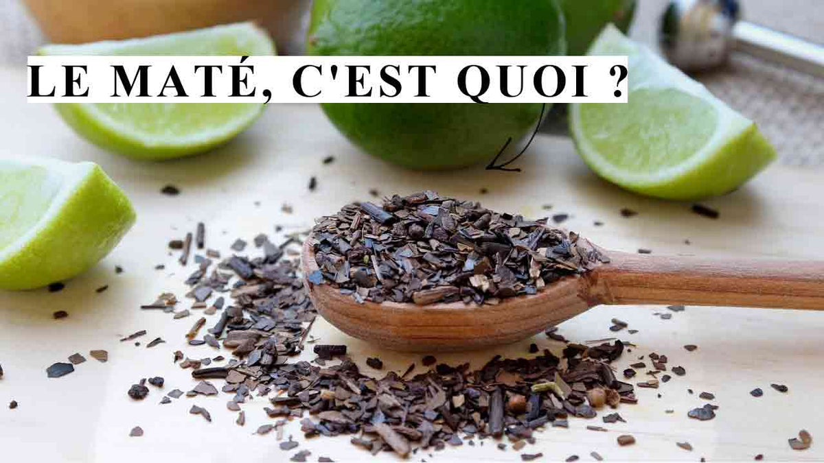Was ist Mate? YVY Maté