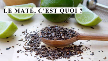 Was ist Mate Tee? YVY Maté erklärt das südamerikanische Getränk
