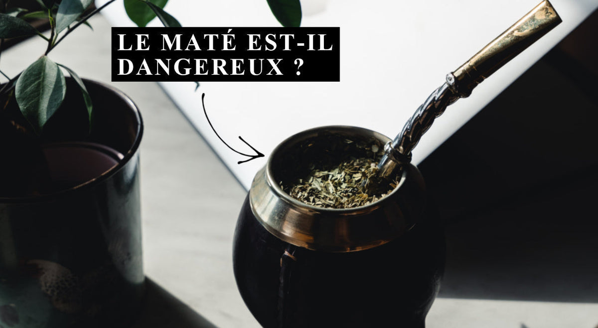 Ist Mate Tee gefährlich? Risiken und Nebenwirkungen sachlich erklärt