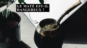Ist Mate Tee gefährlich? Risiken und Nebenwirkungen sachlich erklärt