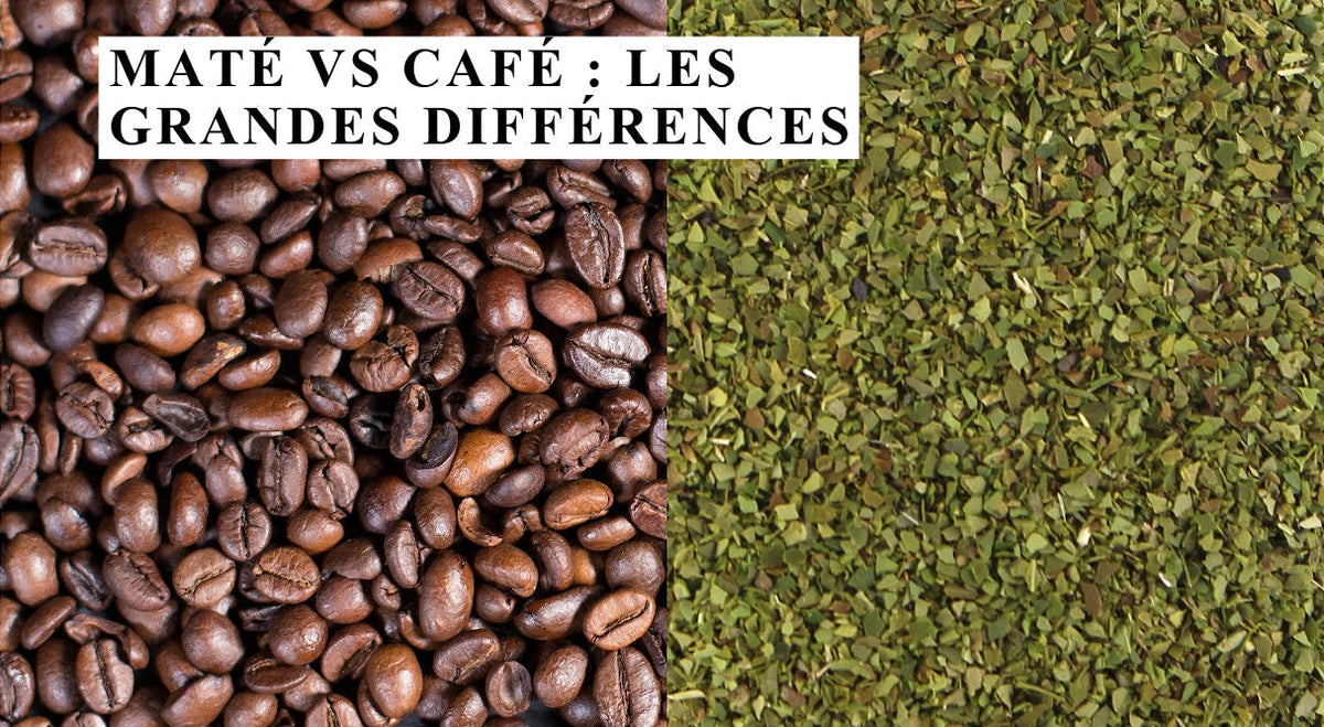 Café o yerba mate: cafeína y efectos comparados punto por punto