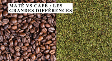 Kaffee oder Mate Tee: Koffeingehalt und Wirkung im Vergleich