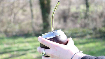 Geschichte und Ursprung des Yerba Mate beim Volk der Guaraní