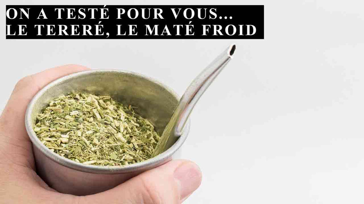 terere mate froid bio