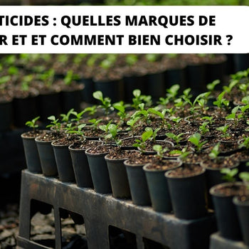 marques de maté pesticides et danger