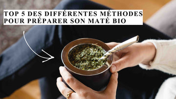 Kalebasse für Mate Tee vorbereiten: die ersten Schritte erklärt