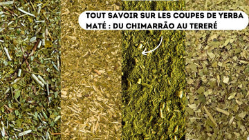 Verschiedene Mate Tee Schnitte: Chimarrão, Uruguay, Tereré und Argentinien