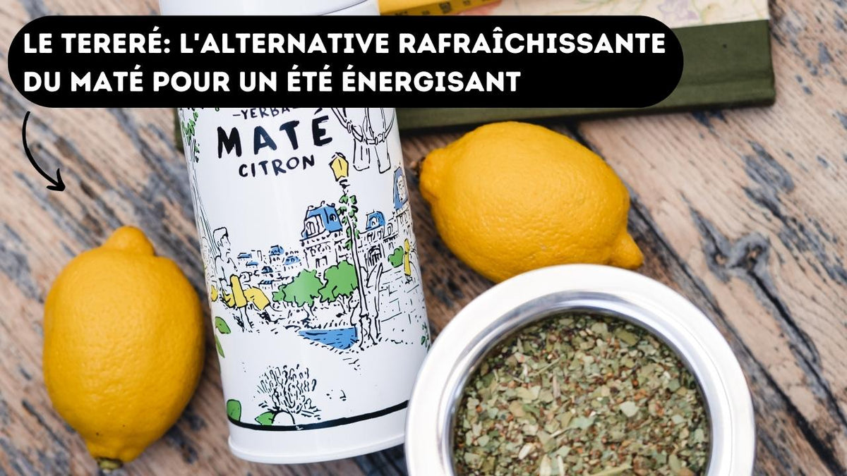 tereré maté
