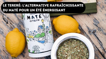 Tereré: kalt aufgegossener Yerba Mate aus Paraguay im Mate Becher