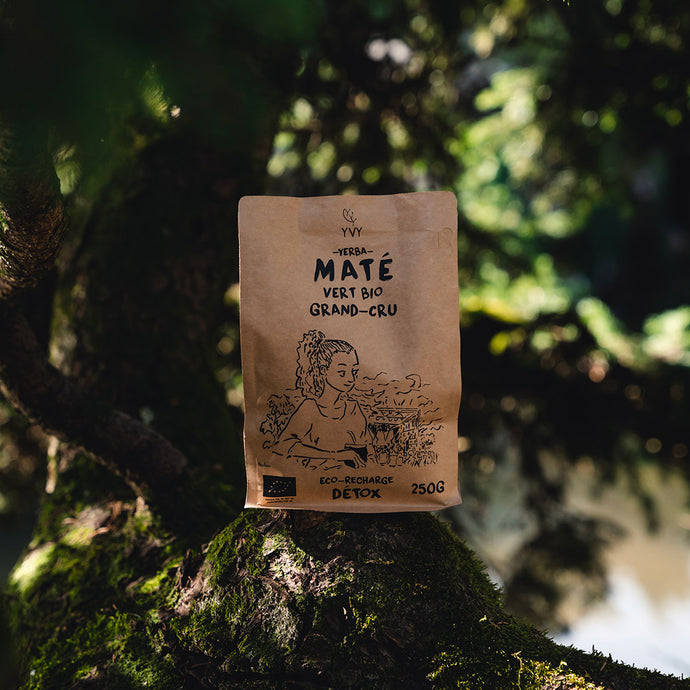 Bio-Grüner Mate – Öko-Nachfüllung 250 g – YVY Maté